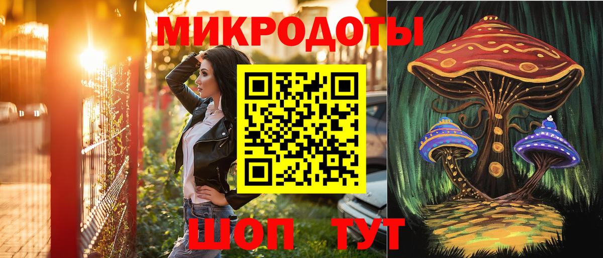 Котлас  Галлюциногенные грибы Cubensis  где найти   Вход с VPN  Галлюциногенные грибы мицелий 